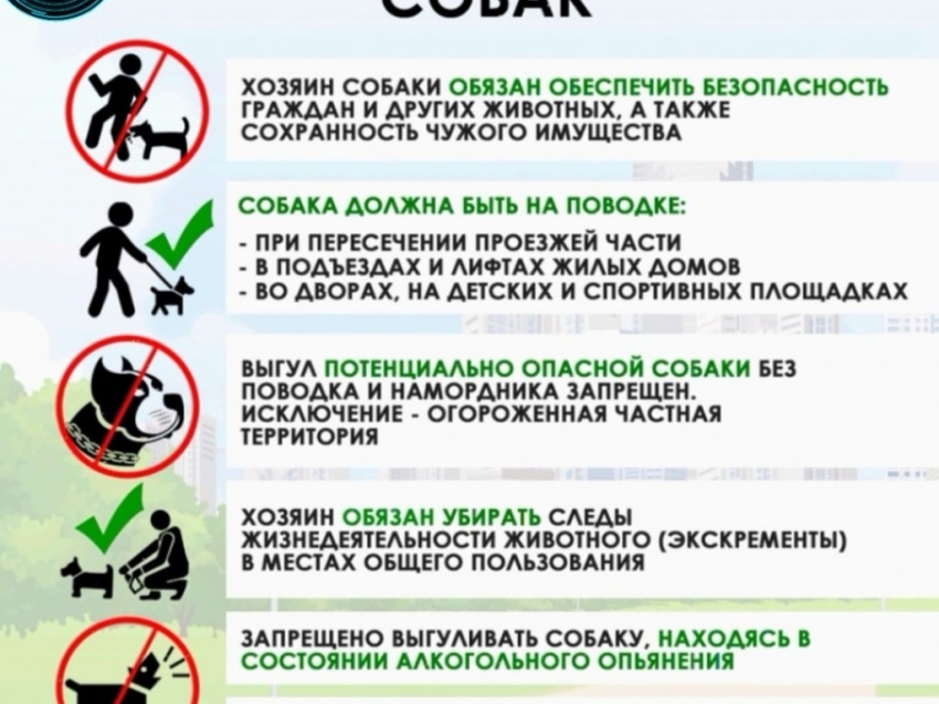 Памятка об ответственном обращении с домашними животными